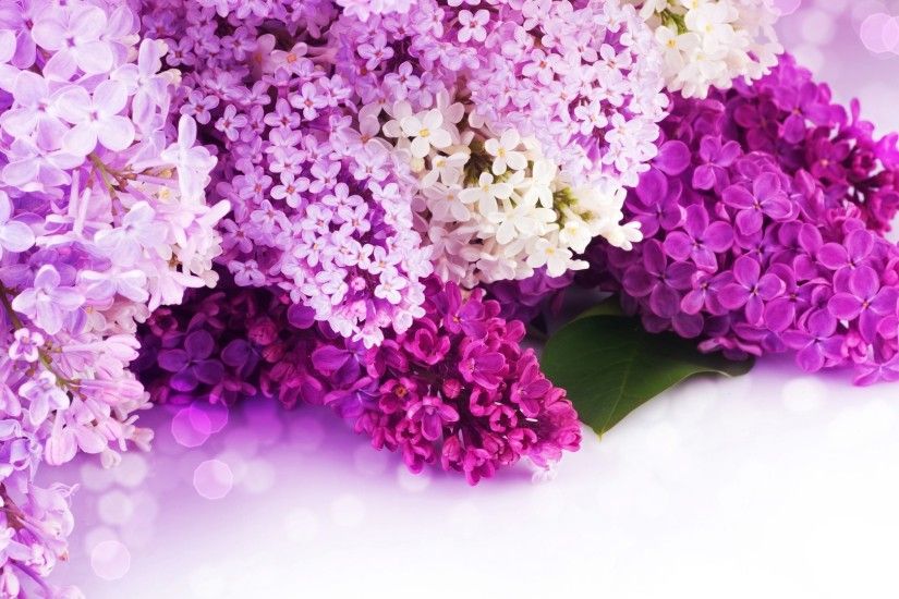 Wedding Flowers Background Purple