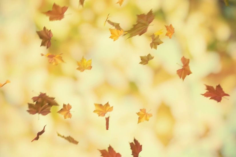 Autumn falling leaves - loopable background