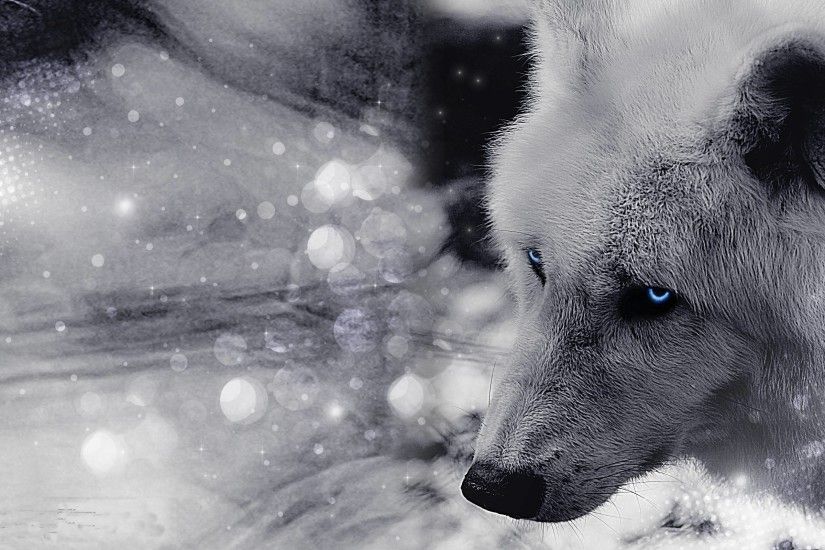 Timber Wolf Wallpaper Design Ideas ~ Hd White Timber Wolves .