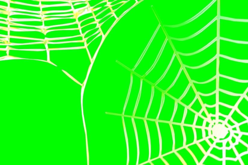 4K Spider Web Rotating Background Animation