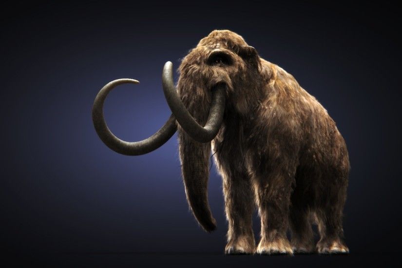 Mammoth 3D