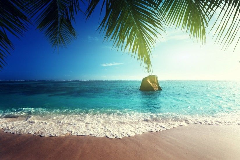 tropical paradise beach coast sea ocean palm summer tropics beach sand sea  sun ocean island beach