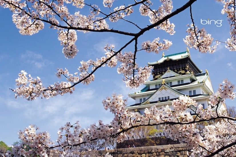 1920x1200 Wallpaper spring, cherry, blossom, palace, japan, architecture