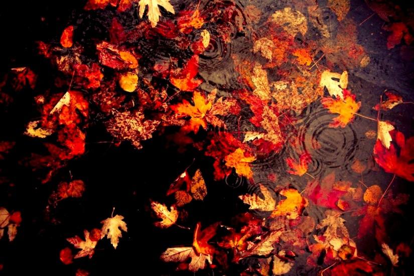 autumn wallpaper 1920x1200 download