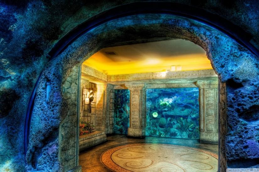 Aquarium cave