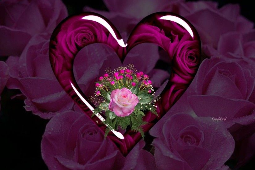 purple hearts and roses | Purple Hearts And Roses Wallpaper Red roses and hearts  wallpapers .