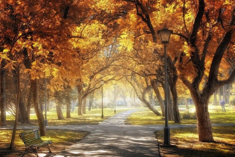 Golden Tag - Park Golden Autumn Central Sevilla Desktop Nature Wallpaper 3d  for HD 16: