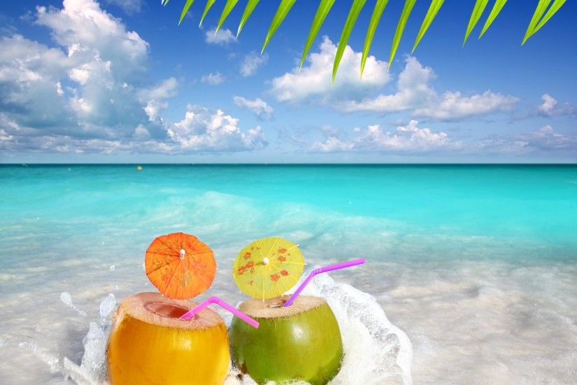 Summer Coconut Beach Desktop HD Wallpaper Stylish HD Wallpapers 2560x2030