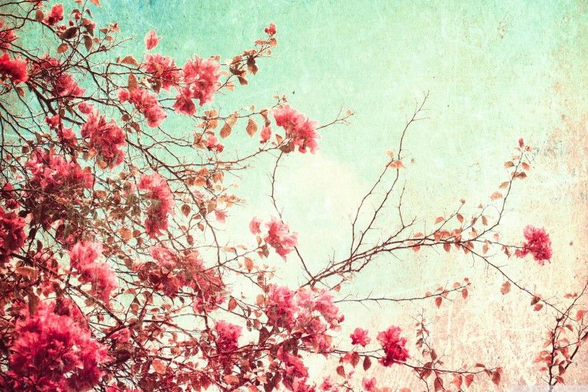 Vintage Flowers Photography Wallpaper