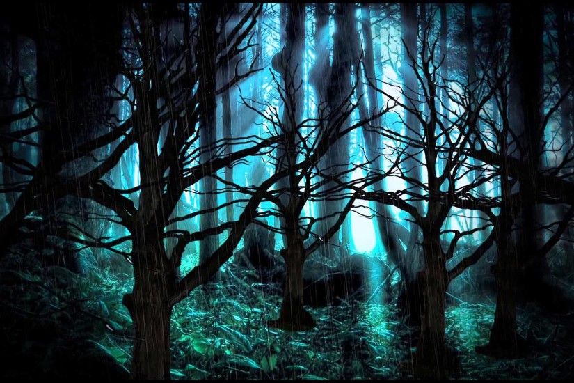 Background Dark Forest