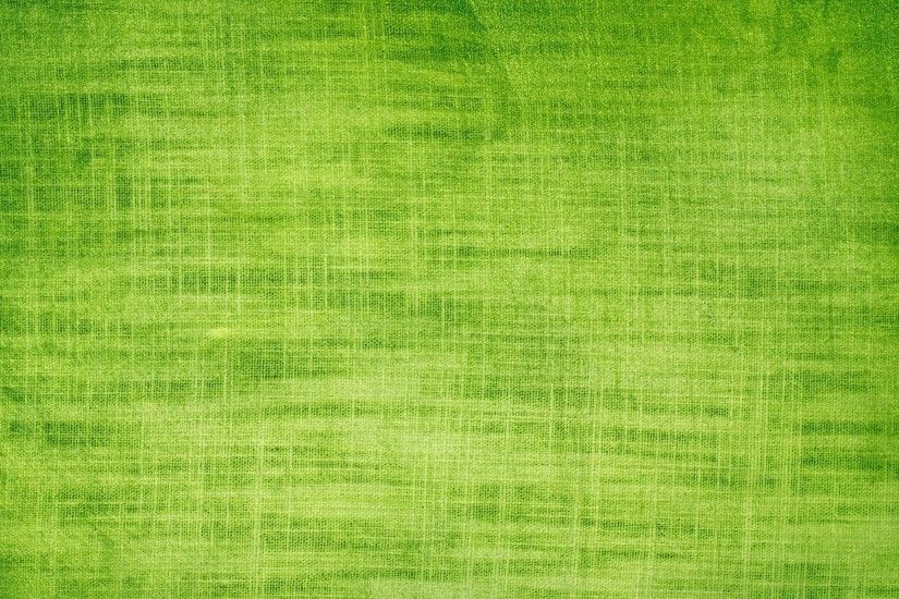 Light Green Backgrounds Wallpaper 2560Ã1600