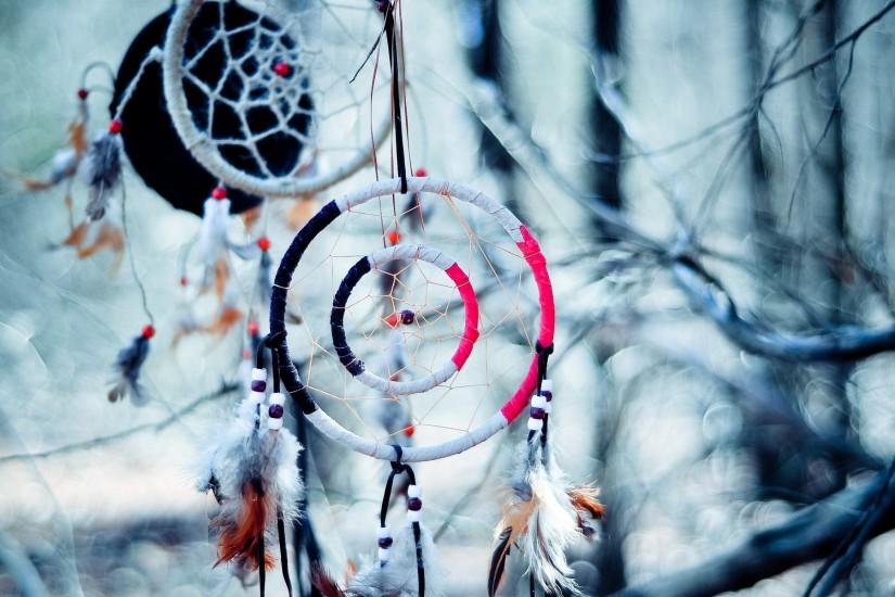 Dream Catcher native american artistic indian trees branch limb .