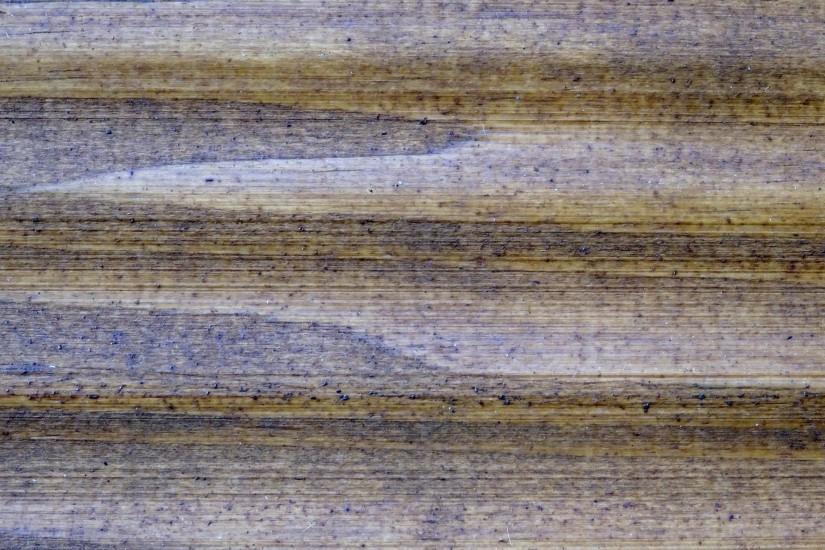 free download wood grain background 1920x1440