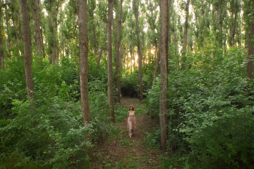 Beautiful Young Woman Hipster Dress Walking In Enchanted Forest Aerial  Drone Shot Sunset Fantasy Fairy Tale Concept Stock Video Footage -  VideoBlocks