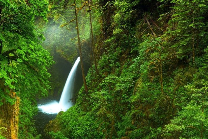 Green Forest Waterfall Wallpaper