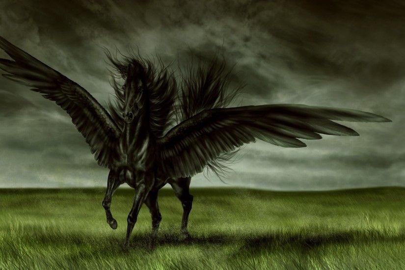 Black Pegasus Wallpaper