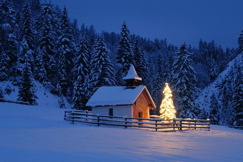 Beautiful Scene Winter Christmas Tree Wallpapers