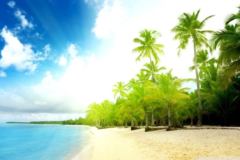 Palm Trees Beach Hd Desktop Wallpaper High Definition Palm Tree Wallpaper