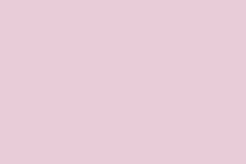 2560x1440 Queen Pink Solid Color Background