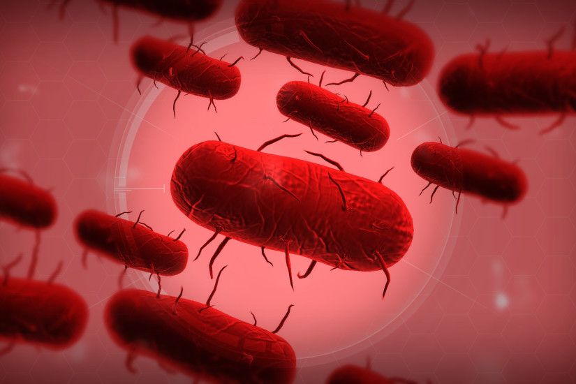 Image - Bacteria Wallpaper.jpg | Plague Inc. Wiki | FANDOM powered by Wikia