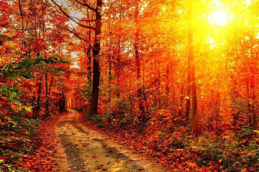 ... Autumn Nature Wallpapers HD Pictures – One HD Wallpaper Pictures .