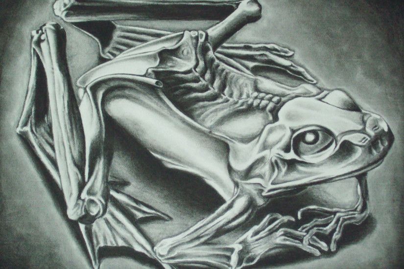 MC Escher Frog Wallpaper