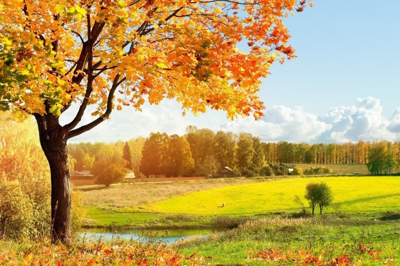 autumn landscape pictures. Â«Â«