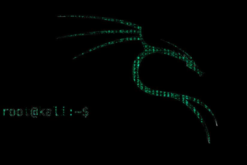 dragon, Backtrack, Kali Linux, Penetration testing, Pentesting