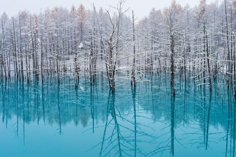 lake, Trees, Nature, Turquoise, Water, Snow, Reflection, Winter, Japan,  Landscape, Cold, Mist, Forest Wallpapers HD / Desktop and Mobile Backgrounds