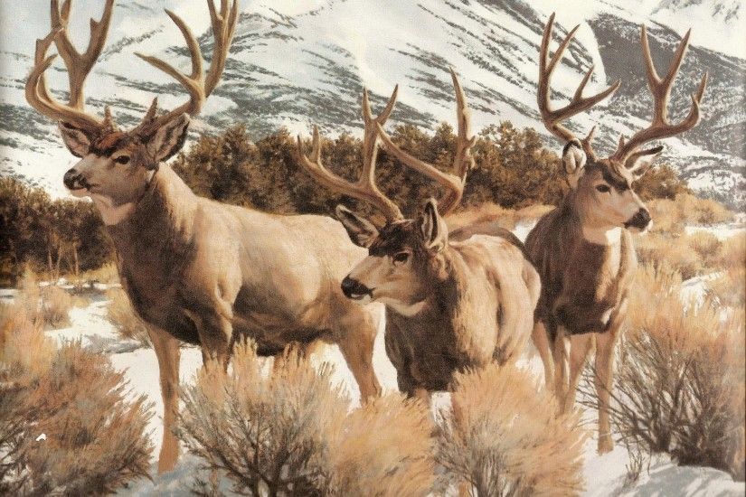 deer free desktop backgrounds for winter