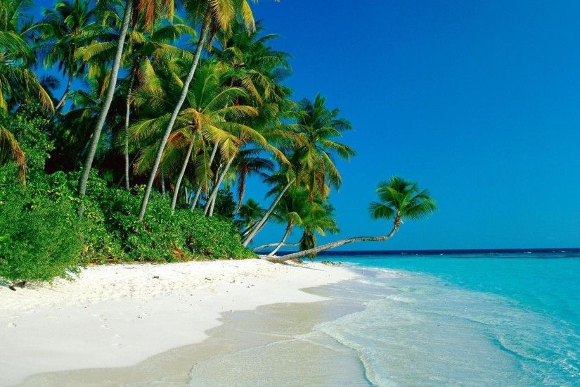 Tropical Island Background Images & Pictures - Becuo