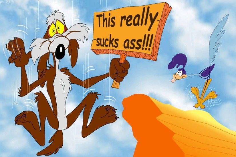 Road Runner Show Looney Tunes Cartoons