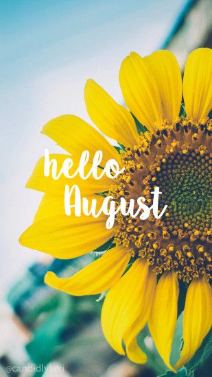 Hello August Sunflower bright happy background August 2016 wallpaper you  can download for free on the