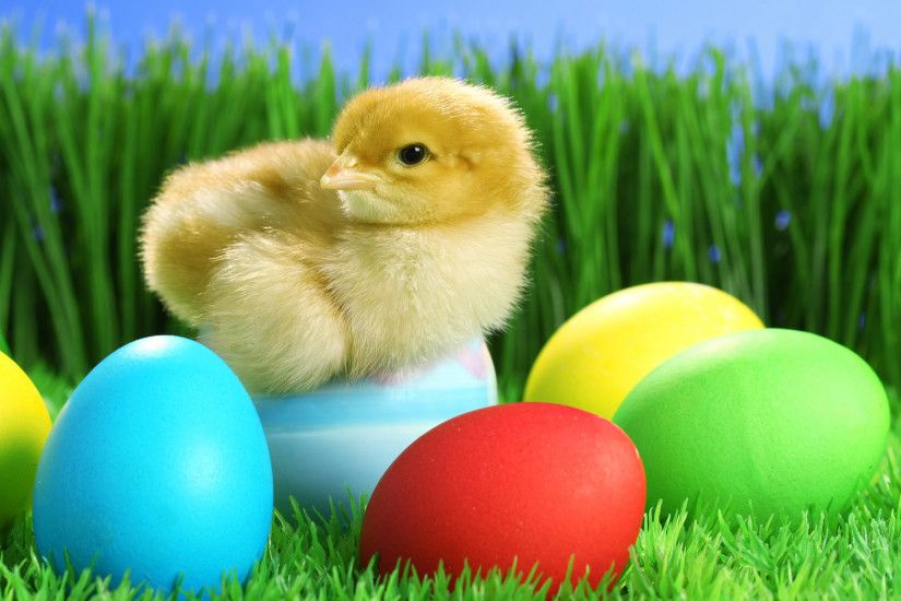 Cute And Colorful Easter Wallpapers -
