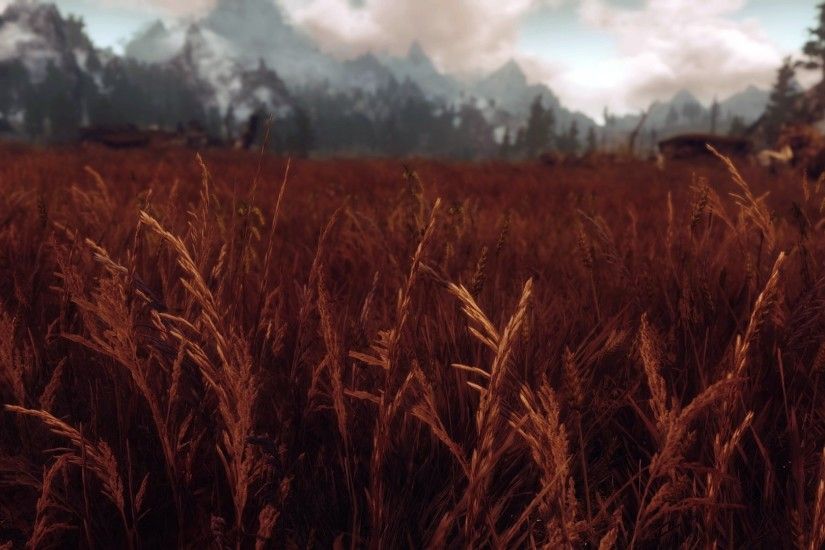 The Elder Scrolls V: Skyrim, Landscape, Rye Wallpapers HD / Desktop and  Mobile Backgrounds