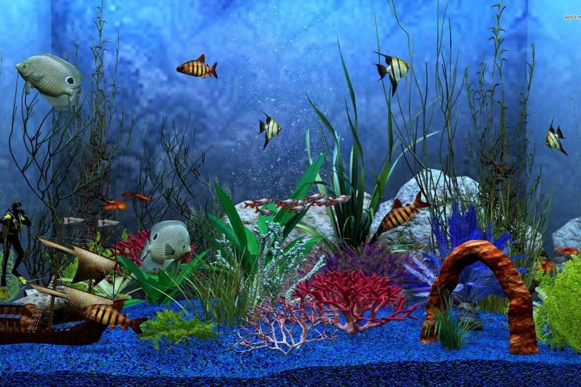 Aquarium Wallpaper - Wallpaper HD Wide