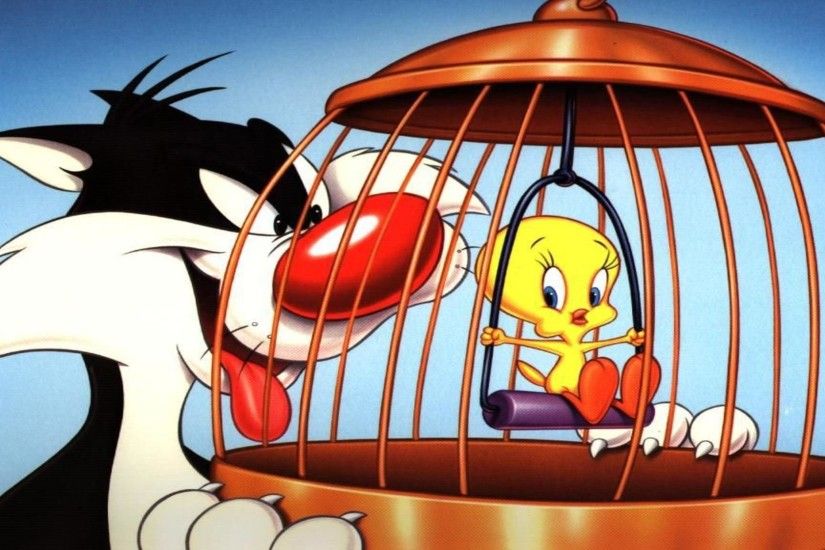 Sylvester tweety wallpaper cartoon frame cat and bird in cage free .