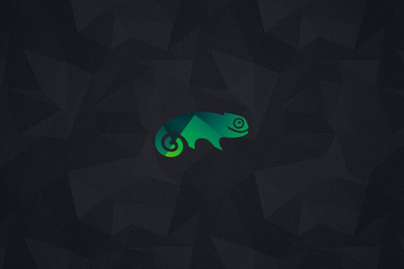 [openSUSE wallpaper] Here's another wall. Grab the .zip for all sizes.