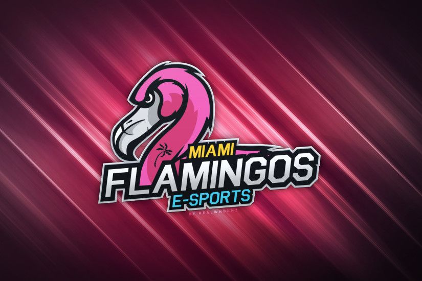 Miami Flamingos Wallpaper - By RealwhOunz