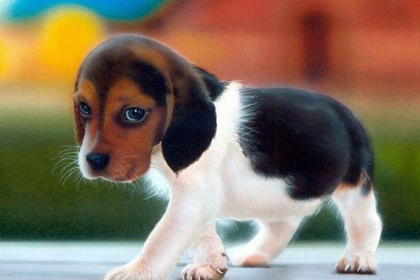 Cute Dog - Wallpapers and Pictures for mobile and desktop