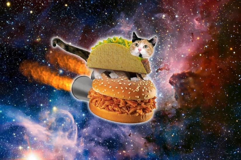 Taco Cat in Space by Jayro-Jones on DeviantArt