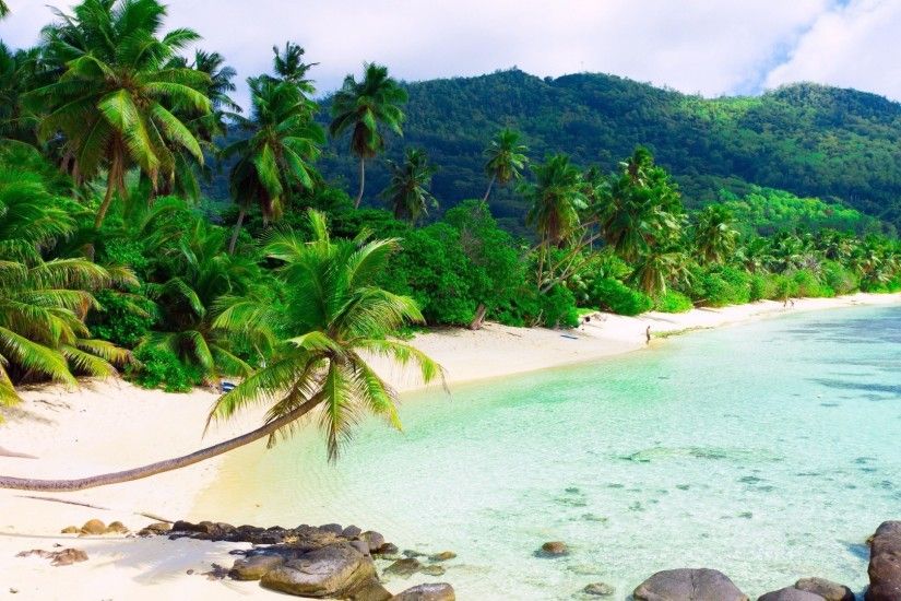 Beach Palm Trees Resort Island Full HD Desktop Wallpapers