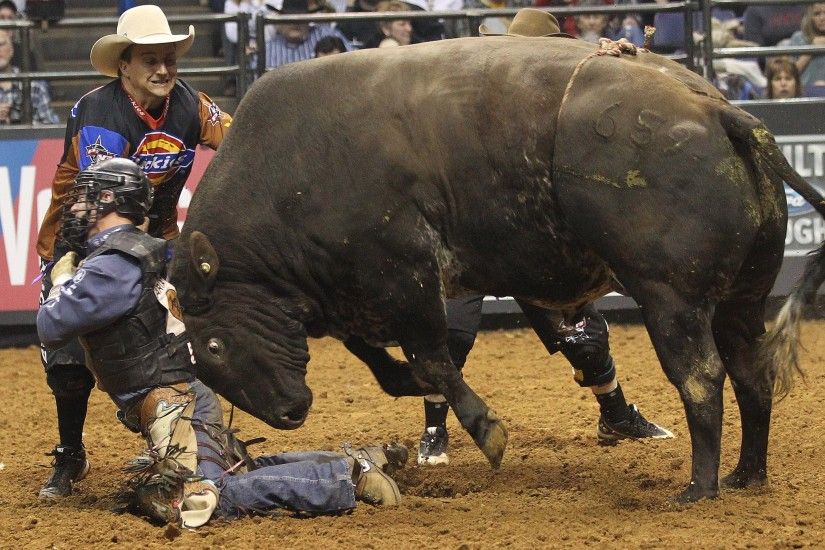 wallpaper.wiki-Download-Free-Bull-Riding-Wallpapers-PIC-