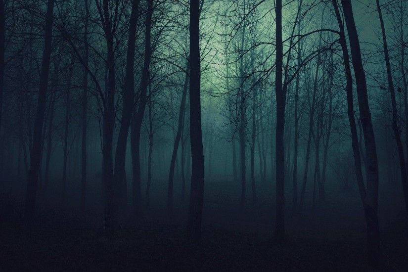 dark forest backgrounds | Wallpapertags - Dark Forest HD Tablet Smartphone  Wallpaper #