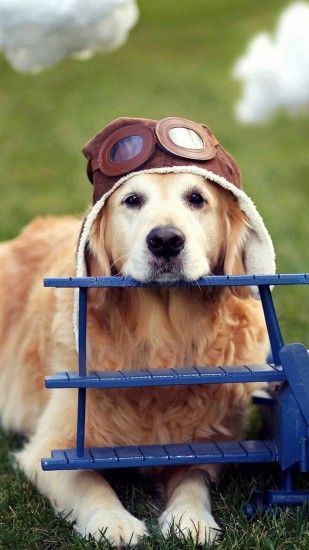 A cute pilot
