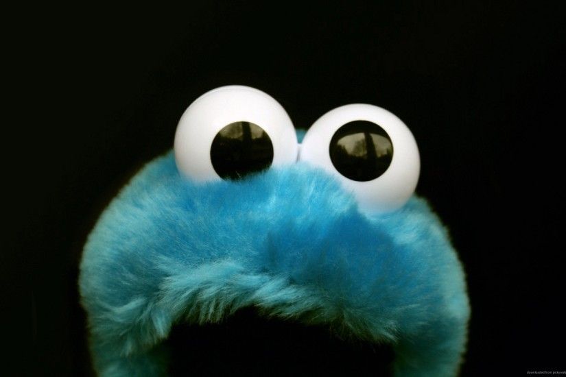 Cookie Monster Fluffy Toy for 2560x1600