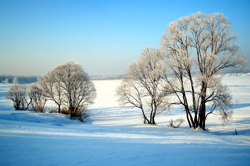 Winter Nature Wallpapers High Quality Resolution