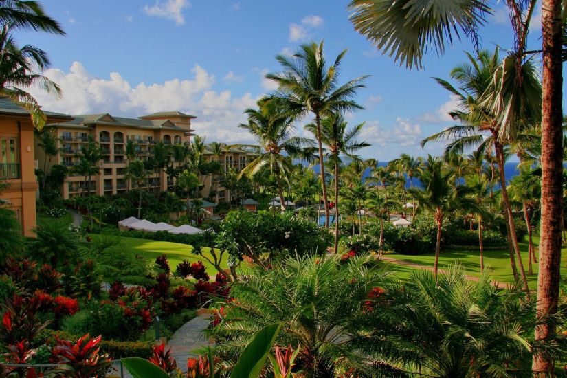 Preview wallpaper hawaii, hotel, palm trees, swimming pool, sea, flowers  3840x2160