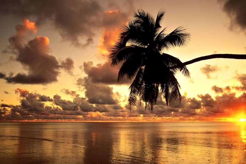 Ocean Sunset With Palm Trees