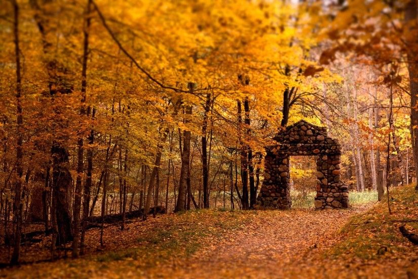 Fall Autumn Landscape Wallpaper HD